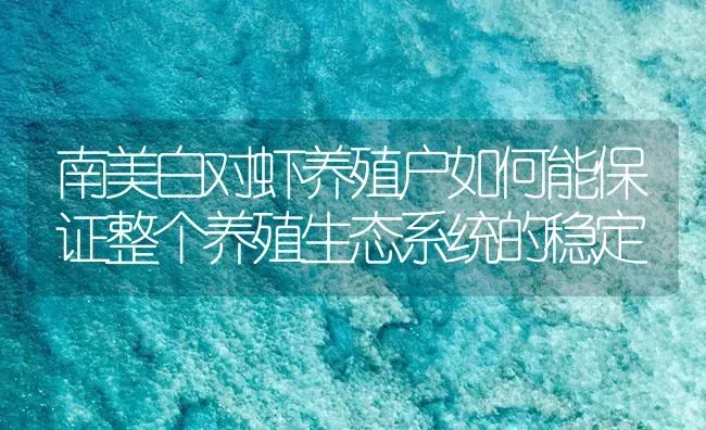 南美白对虾养殖户如何能保证整个养殖生态系统的稳定 | 海水养殖