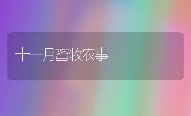 十一月畜牧农事 | 家畜养殖