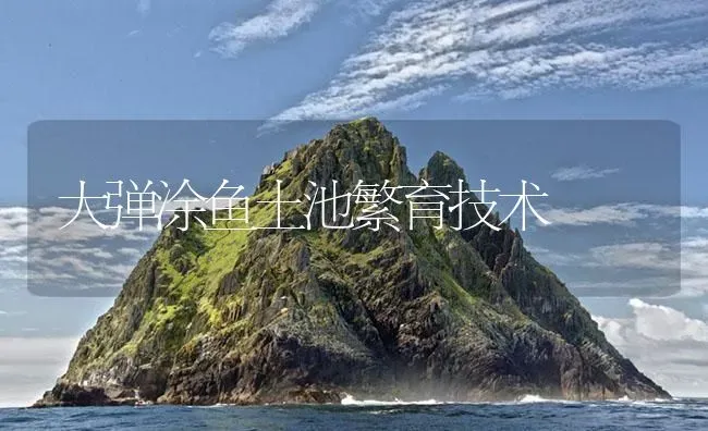 大弹涂鱼土池繁育技术 | 淡水养殖