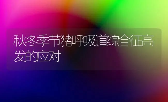 秋冬季节猪呼吸道综合征高发的应对 | 家畜养殖