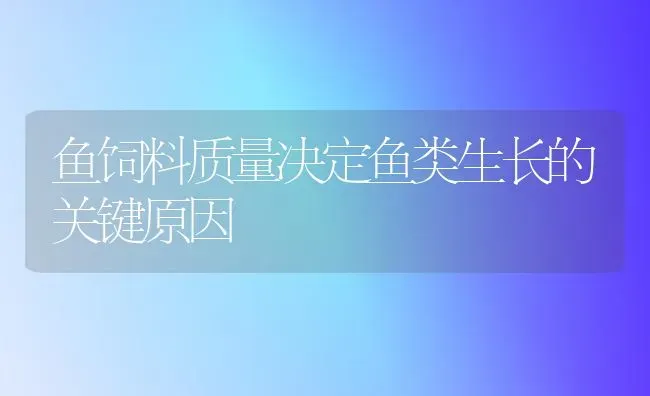 鱼饲料质量决定鱼类生长的关键原因 | 动物养殖饲料