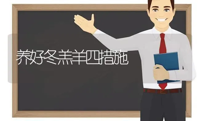 养好冬羔羊四措施 | 家畜养殖