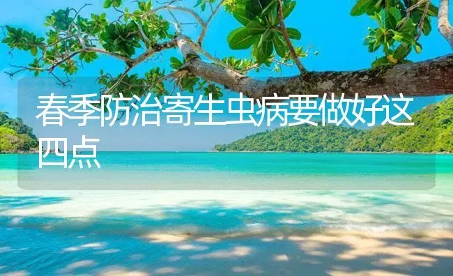 春季防治寄生虫病要做好这四点 | 养殖病虫害防治