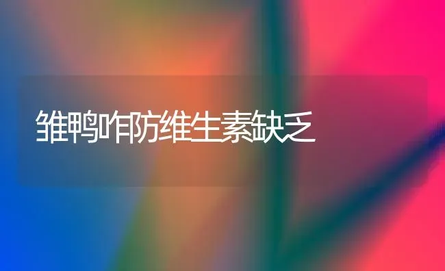 雏鸭咋防维生素缺乏 | 家禽养殖