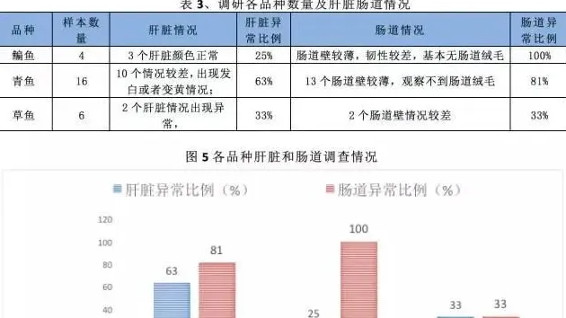 鱼苗价格飙升，鱼体健康堪忧，保苗内服刻不容缓
