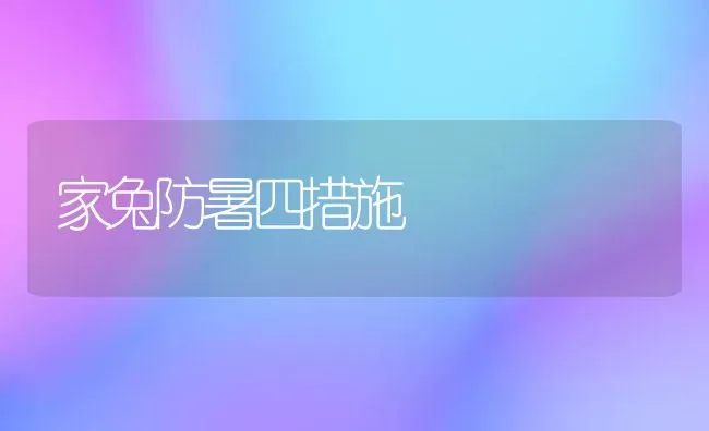 家兔防暑四措施 | 家畜养殖