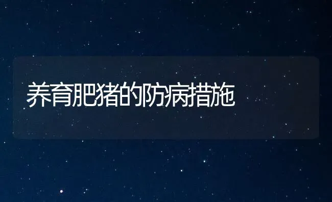 养育肥猪的防病措施 | 家畜养殖