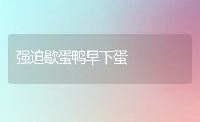 强迫歇蛋鸭早下蛋 | 家禽养殖