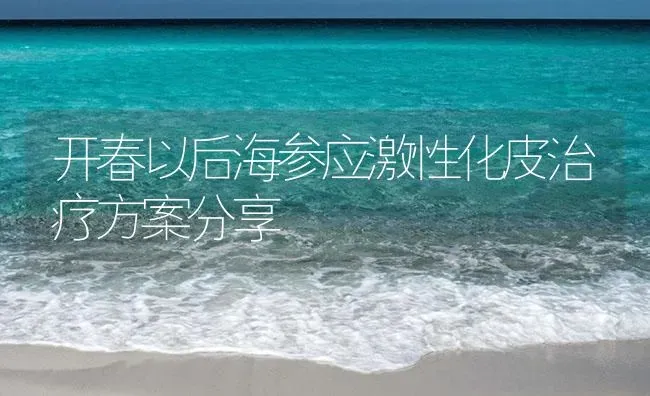 开春以后海参应激性化皮治疗方案分享 | 海水养殖