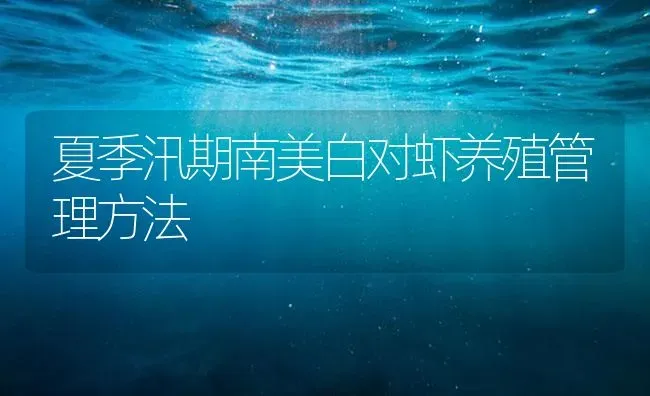 夏季汛期南美白对虾养殖管理方法 | 海水养殖