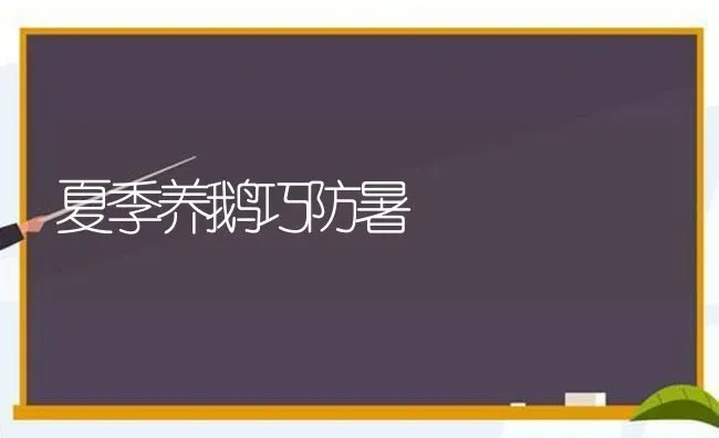 夏季养鹅巧防暑 | 家禽养殖