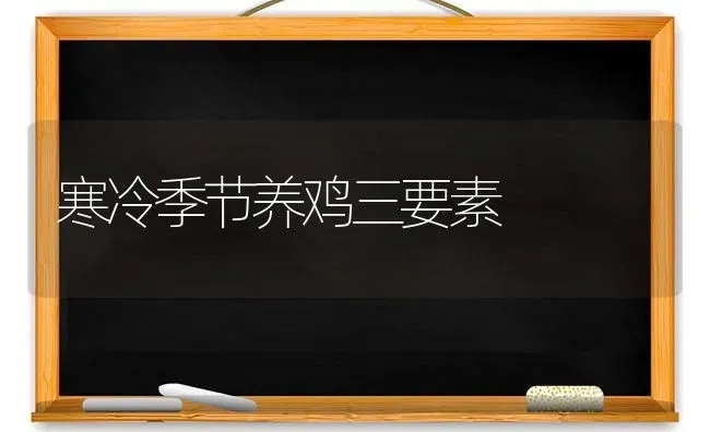 寒冷季节养鸡三要素 | 家禽养殖