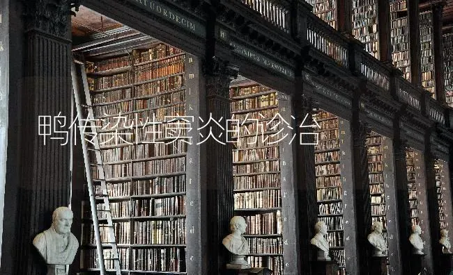 鸭传染性窦炎的诊治 | 家禽养殖