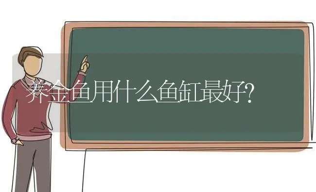 养金鱼用什么鱼缸最好？ | 淡水养殖