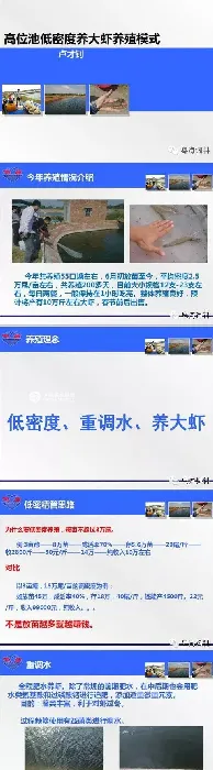 【粤海养殖能手】高位池低密度鱼虾混养模式分享