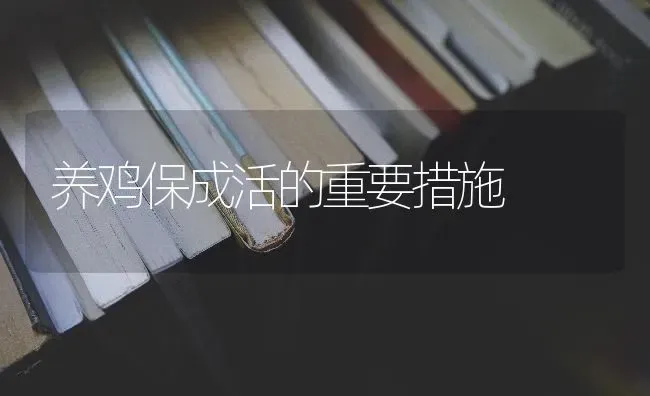 养鸡保成活的重要措施 | 家禽养殖