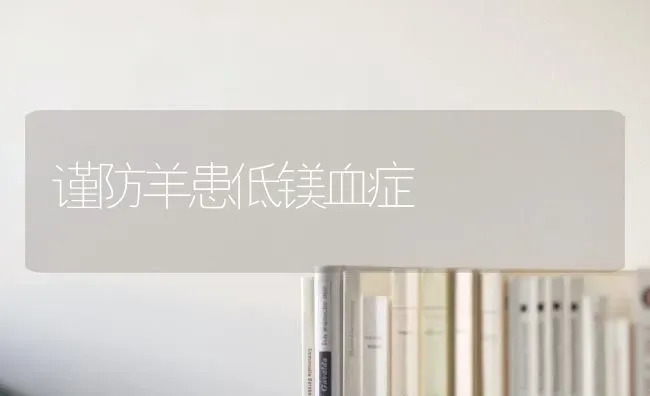 谨防羊患低镁血症 | 家畜养殖