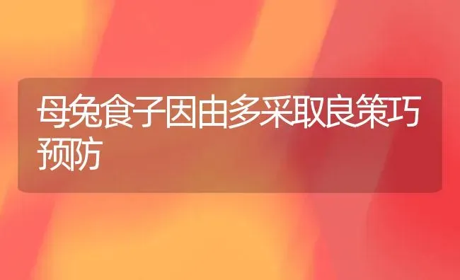 母兔食子因由多采取良策巧预防 | 家畜养殖