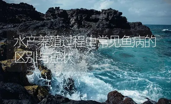 淡水鱼养殖户杀小瓜虫？民间验方显神威！ | 养殖病虫害防治