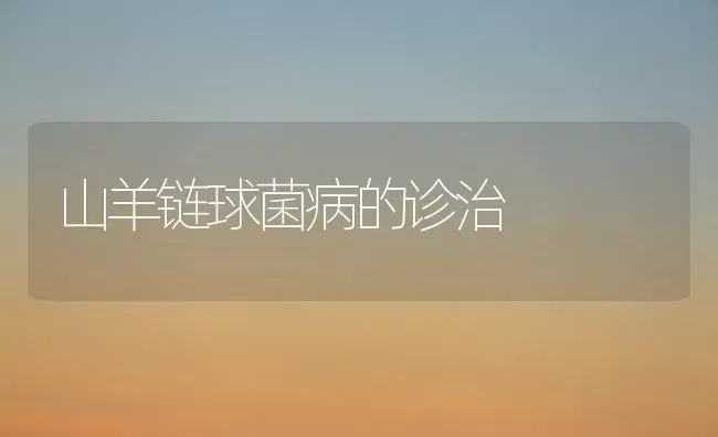 山羊链球菌病的诊治 | 家畜养殖