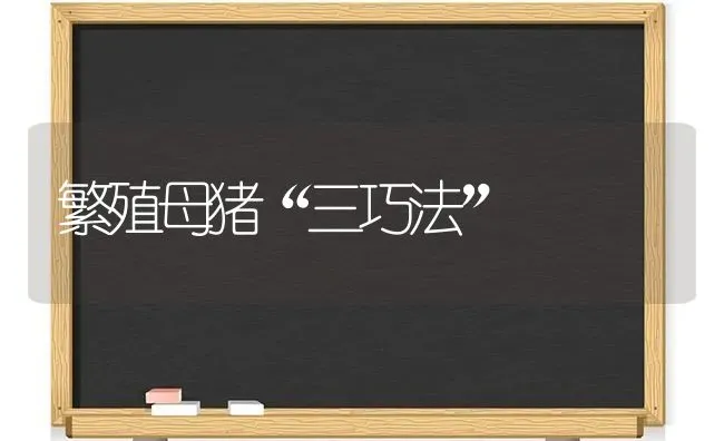 繁殖母猪“三巧法” | 家畜养殖