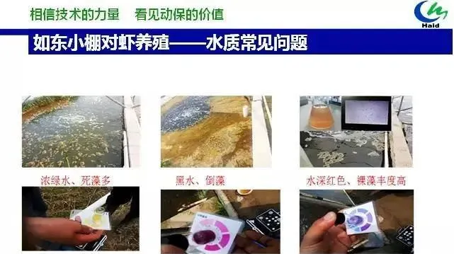 虾多宝在小棚南美白对虾养殖过程中的应用