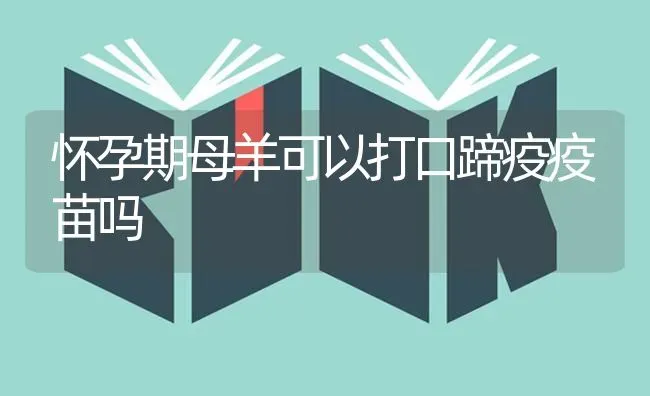 怀孕期母羊可以打口蹄疫疫苗吗 | 家畜养殖