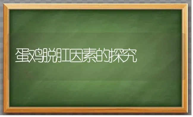 蛋鸡脱肛因素的探究 | 家禽养殖