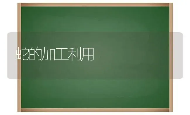 蛇的加工利用 | 特种养殖