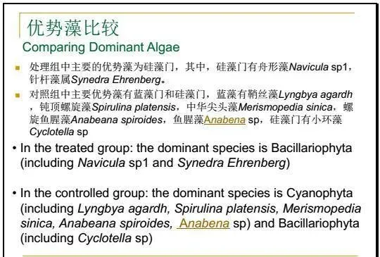 江兴龙教授谈池塘生物膜低碳养殖技术