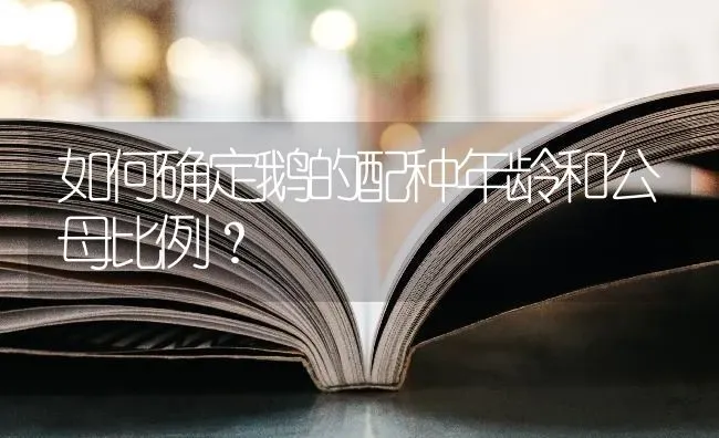 如何确定鹅的配种年龄和公母比例？ | 家禽养殖