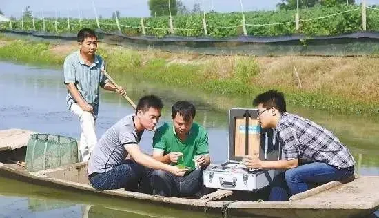 王明闯：外用杀虫药的时代该终结了！