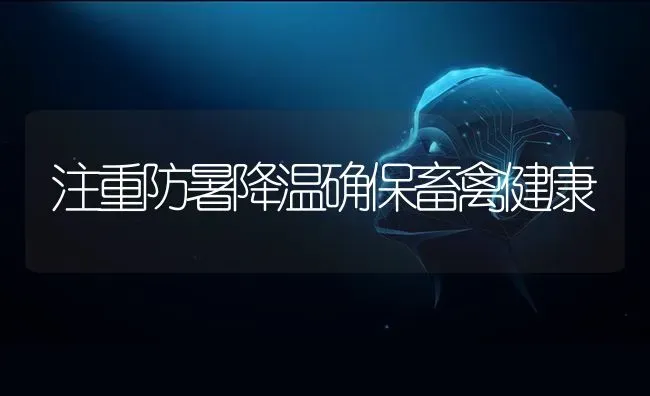 注重防暑降温确保畜禽健康 | 家禽养殖