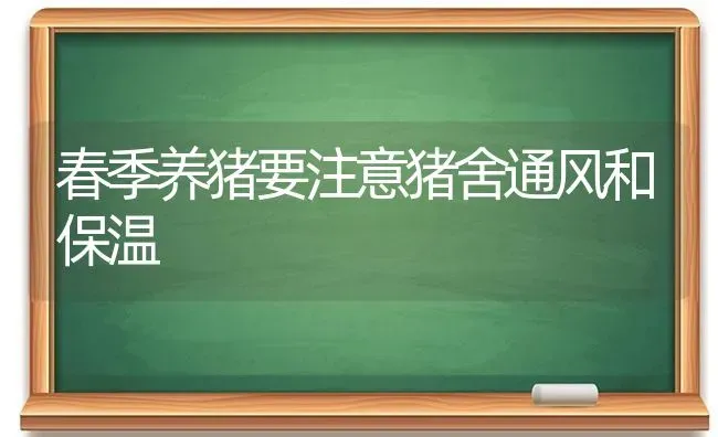 春季养猪要注意猪舍通风和保温 | 家畜养殖