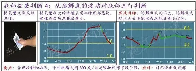 如果底改没有针对性，养殖户可能就是在白花钱、做无用功！