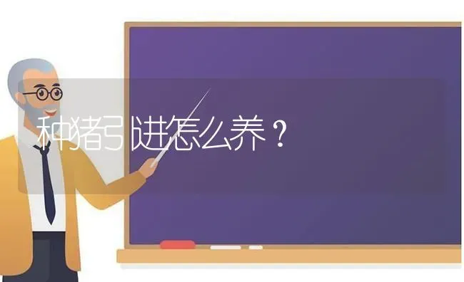 种猪引进怎么养？ | 家畜养殖