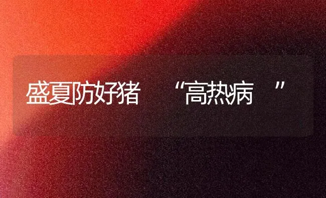 盛夏防好猪 “高热病 ” | 家畜养殖