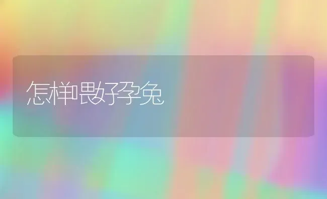 怎样喂好孕兔 | 家畜养殖