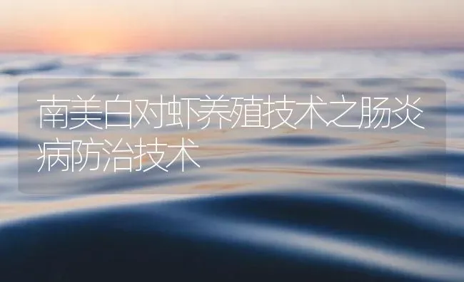 南美白对虾养殖技术之肠炎病防治技术 | 海水养殖