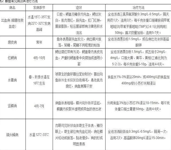 鲫鱼苗种培育及成鱼养殖技术