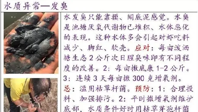 如果底改没有针对性，养殖户可能就是在白花钱、做无用功！