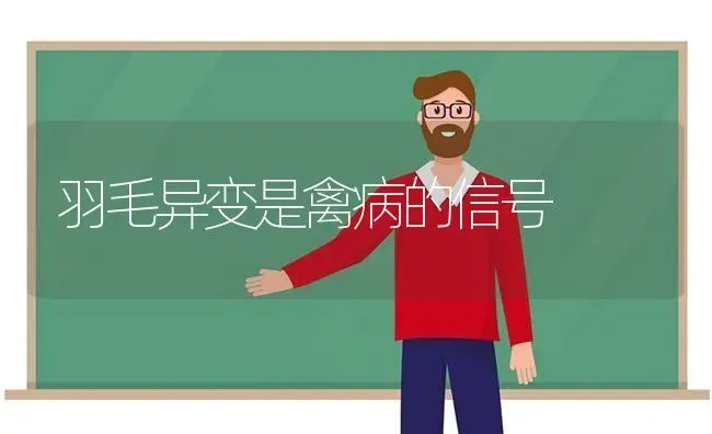 羽毛异变是禽病的信号 | 家禽养殖