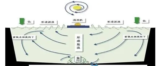 李涛：池塘溶氧的“左右护法”是什么？