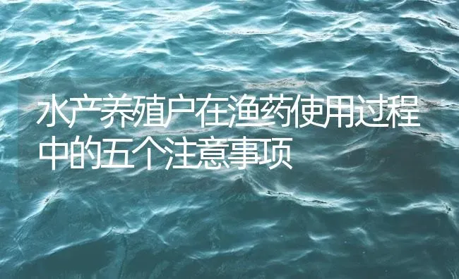 水产养殖户在渔药使用过程中的五个注意事项 | 养殖病虫害防治