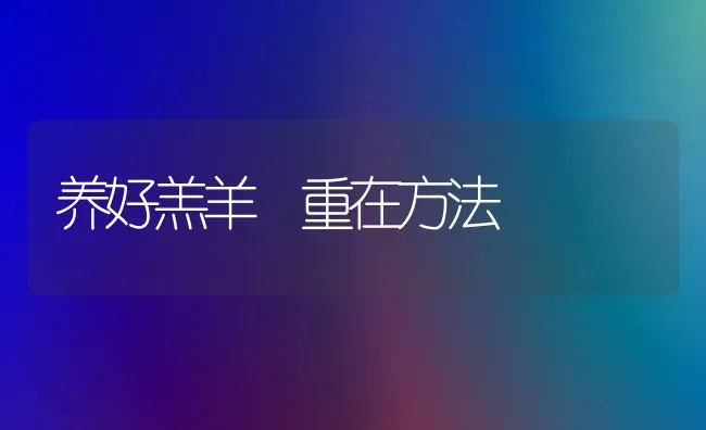 养好羔羊 重在方法 | 家畜养殖