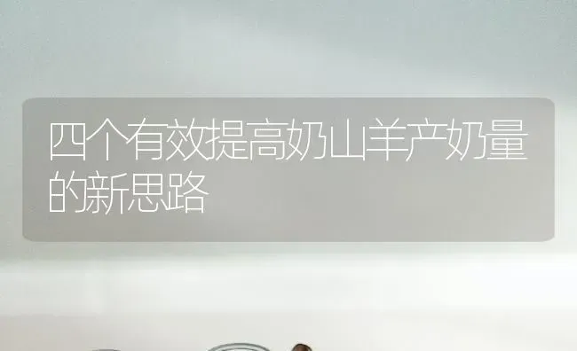 四个有效提高奶山羊产奶量的新思路 | 家畜养殖