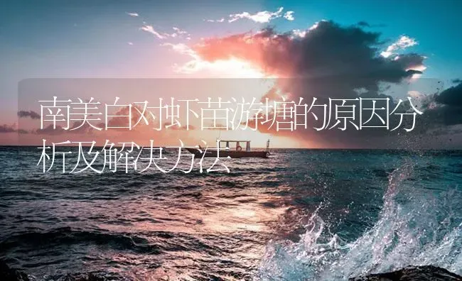 南美白对虾苗游塘的原因分析及解决方法 | 海水养殖