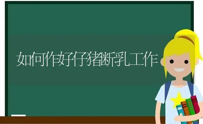 如何作好仔猪断乳工作 | 家畜养殖