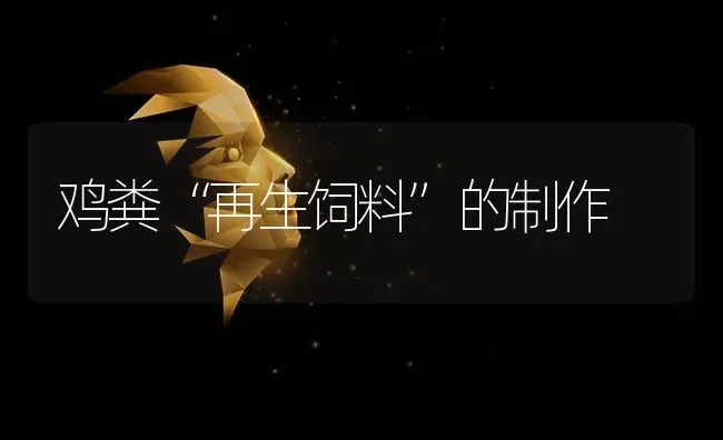 鸡粪“再生饲料”的制作 | 家禽养殖