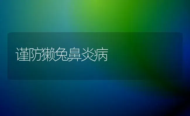 谨防獭兔鼻炎病 | 家畜养殖